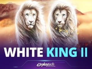 White King Ii™ game screenshot